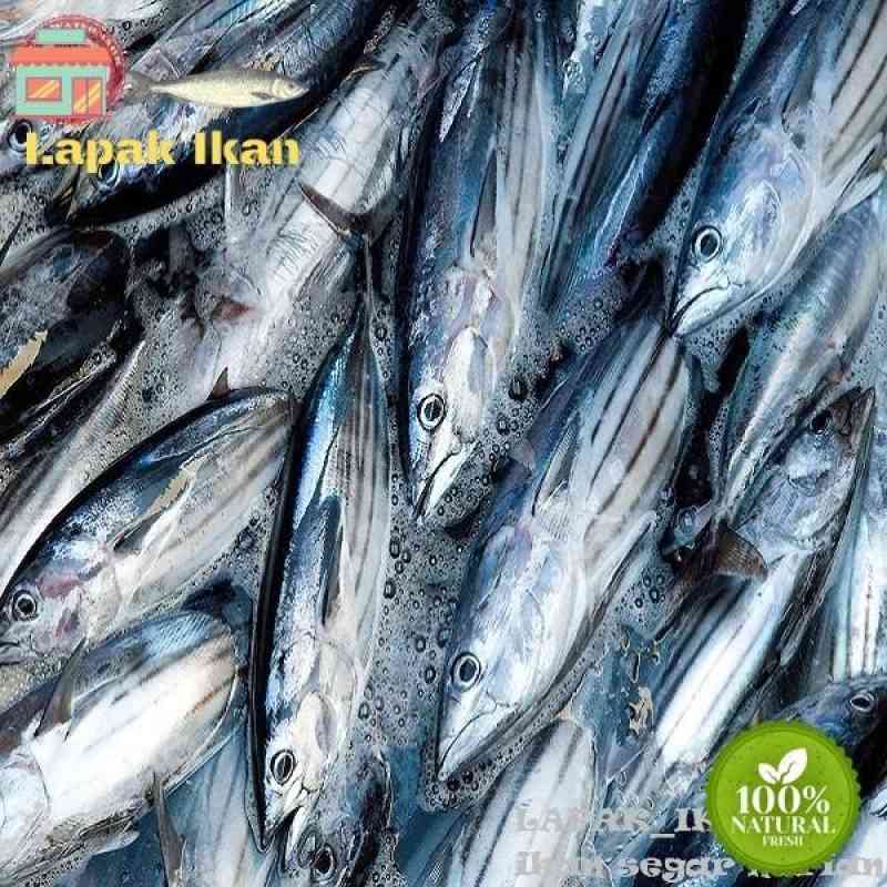 Mak Iyem: Fresh Seafood Delights Straight from Cilacap's Coast